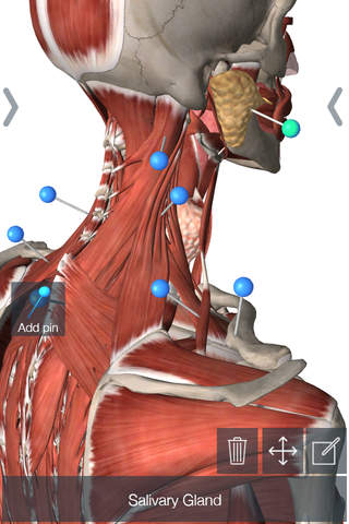Essential anatomy free download mac download